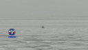 Одинокий рыбак вышел на неокрепший лед Обского моря — к нему направили ярко-оранжевого спасателя