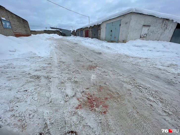 На снегу у гаражей остались кровавые пятна На снегу у гаражей остались кровавые пятна