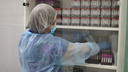 У 66% заболевших гриппом в Новосибирской области обнаружили «свиной» штамм