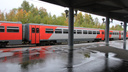 Дети в Поморье смогут бесплатно ездить на пригородных поездах