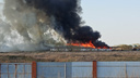 На ферме под Новосибирском произошел пожар
