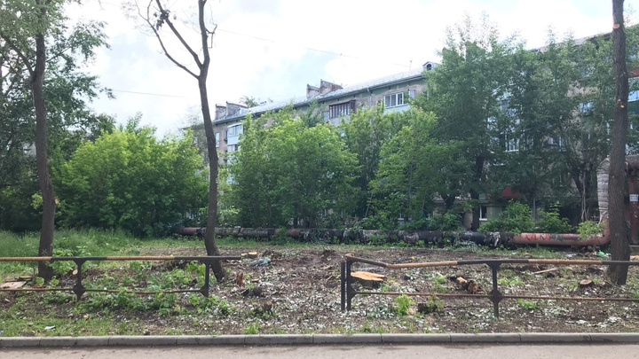 В Перми в Свердловском районе вырубили деревья на улице Серпуховской, 5 и Краснополянской, 9
