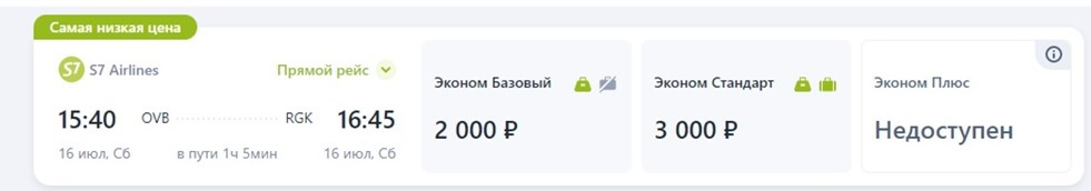 Прямые рейсы из новосибирска. Самолет рейс Новосибирск Горно Алтайск. Горно Алтайск Новосибирск билет.