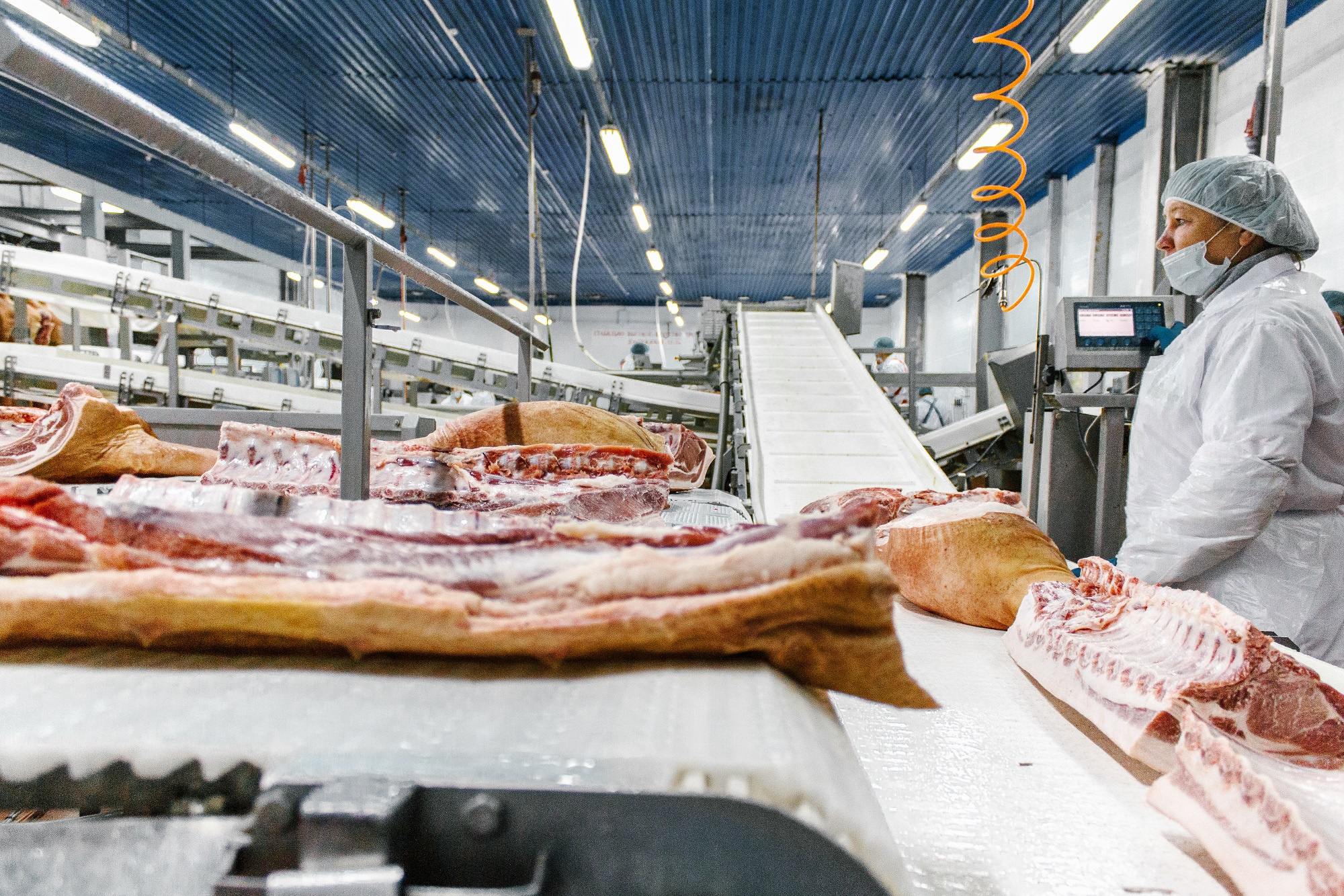 «Сибагро» занимает второе место в России по объему производства свинины