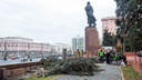 В Челябинске спилили старые голубые ели на площади Революции
