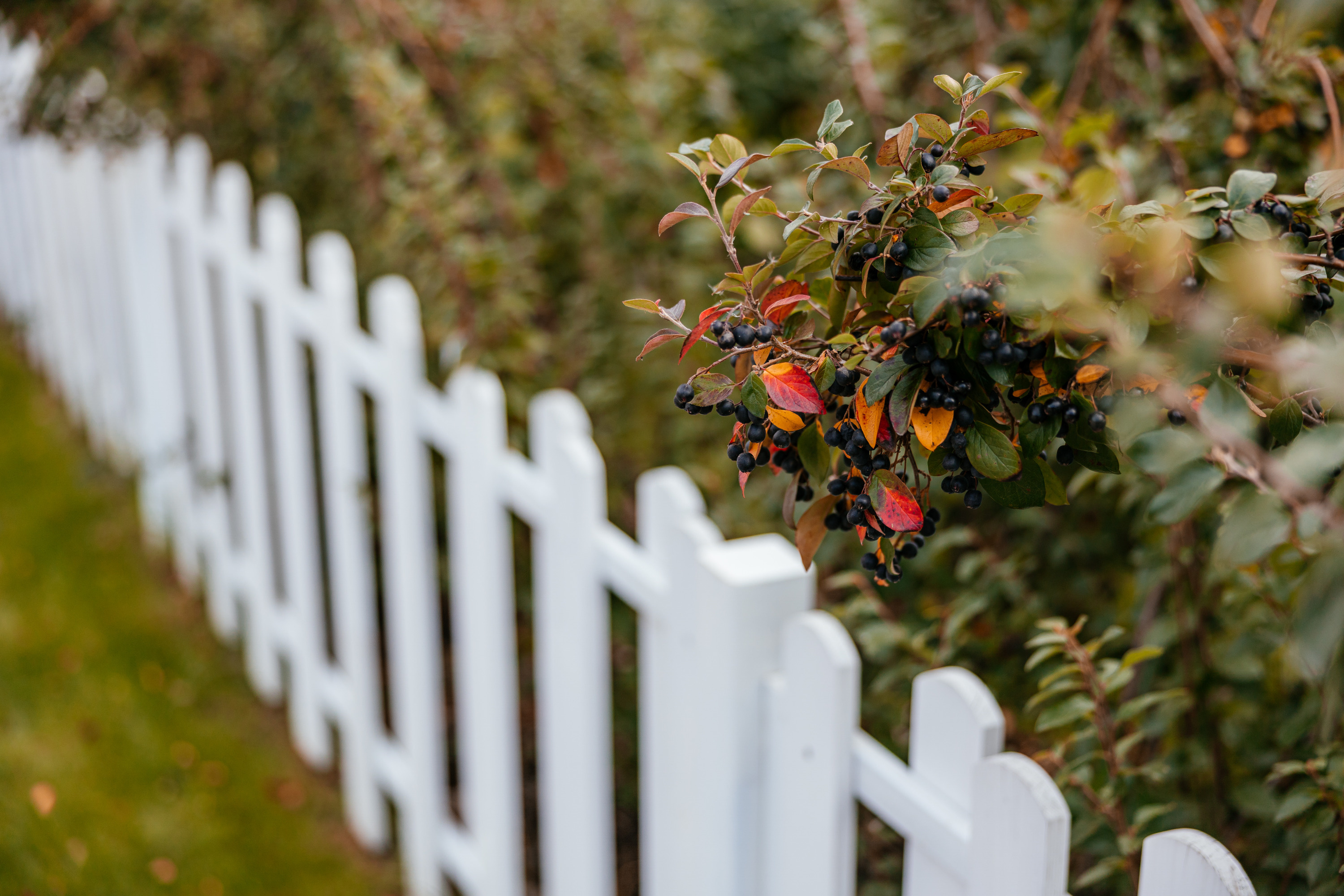 Как купить земельные участки в рассрочку без первоначального взноса в ...