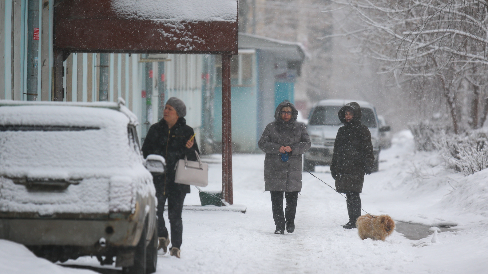 Третий день весны в Казани снегопады. Когда уже придет тепло?