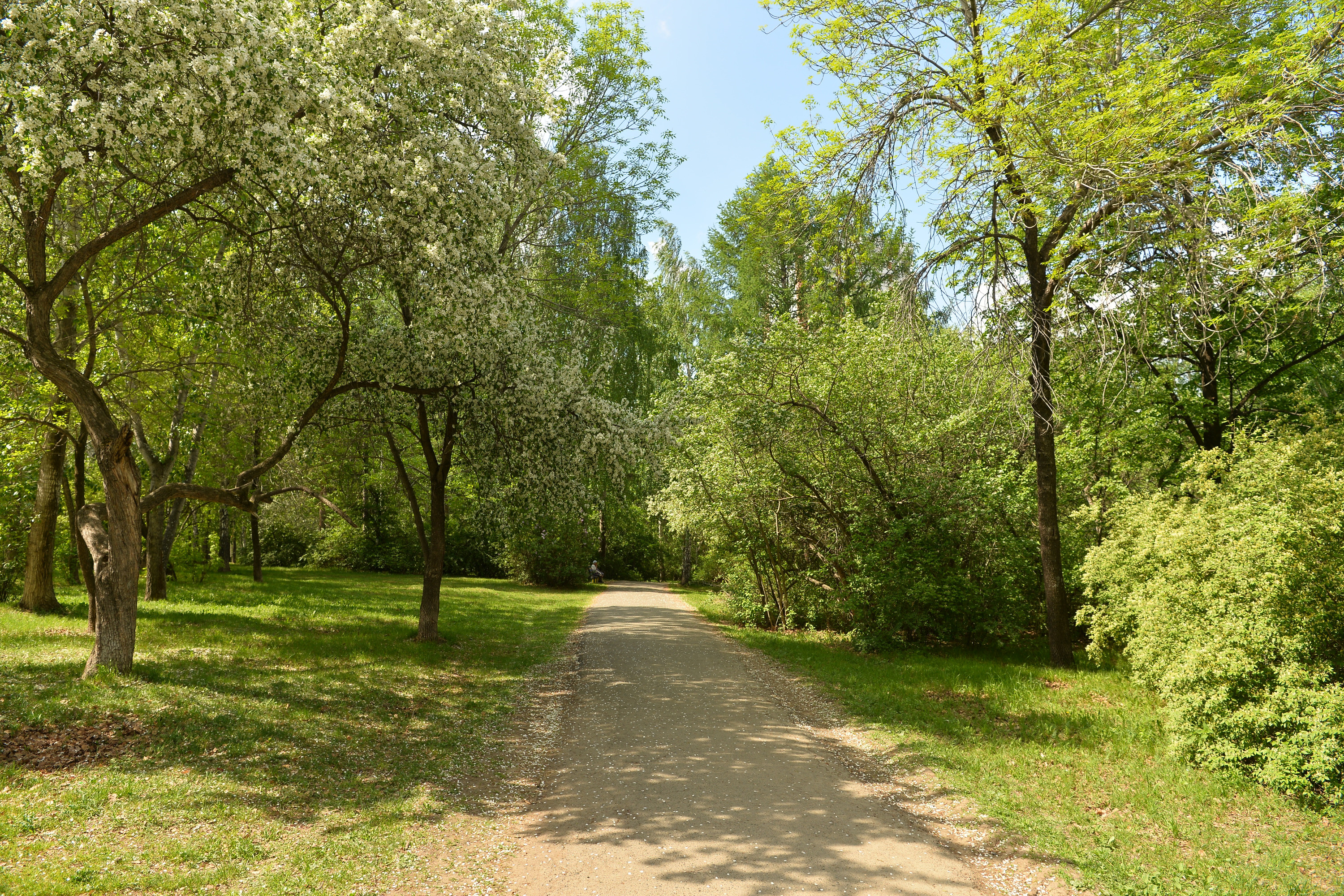 Ii park. Парк Чкалова Вторчермет. Парк камвольного комбината. Южный сад Вторчермет. Парк имени Чкалова Екатеринбург Вторчермет.