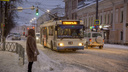 Как будет работать общественный транспорт Ярославля в новогоднюю ночь: расписание