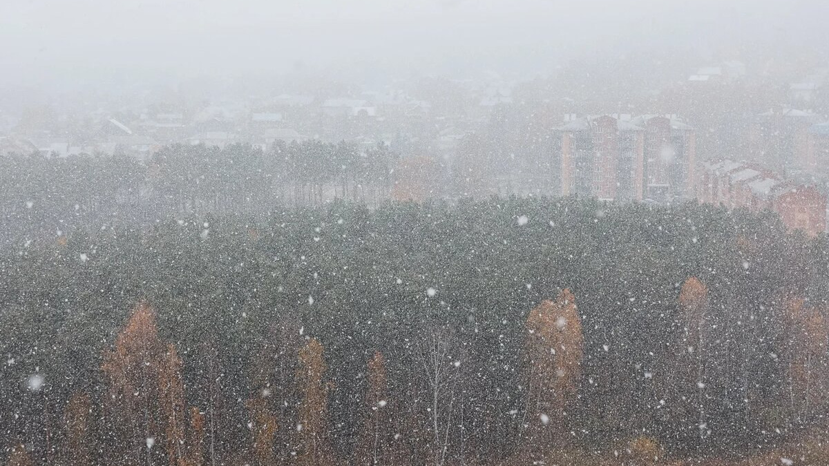 Синоптики прогнозируют в Красноярске мокрый снег с дождем. А когда ждать снежного покрова?