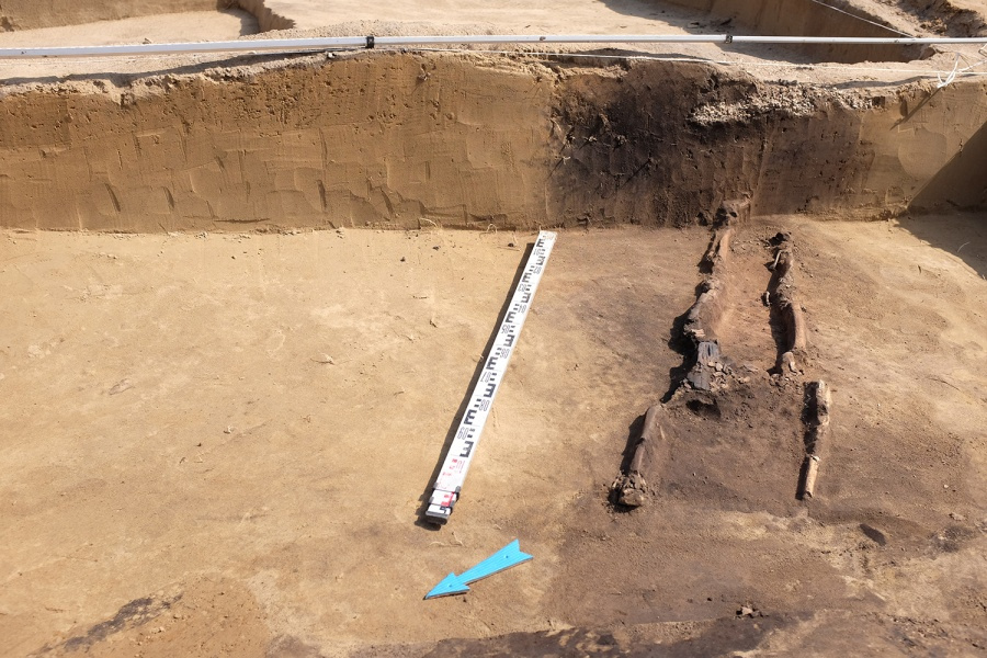 Ученые нашли 22 захоронения возле «Европейского берега»: в них были останки древних сибиряков и домашняя утварь