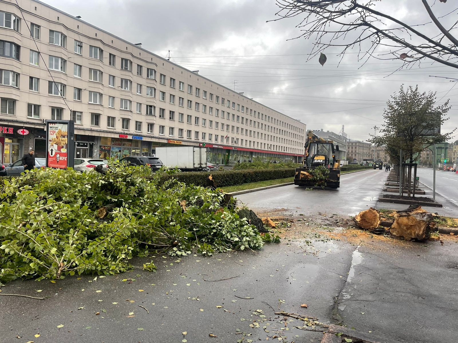 Благоустройство санкт петербург. Санкт-Петербург в октябре. Повалило деревья в Санкт-Петербурге. Ветер в городе. Благоустройство Петербурга.