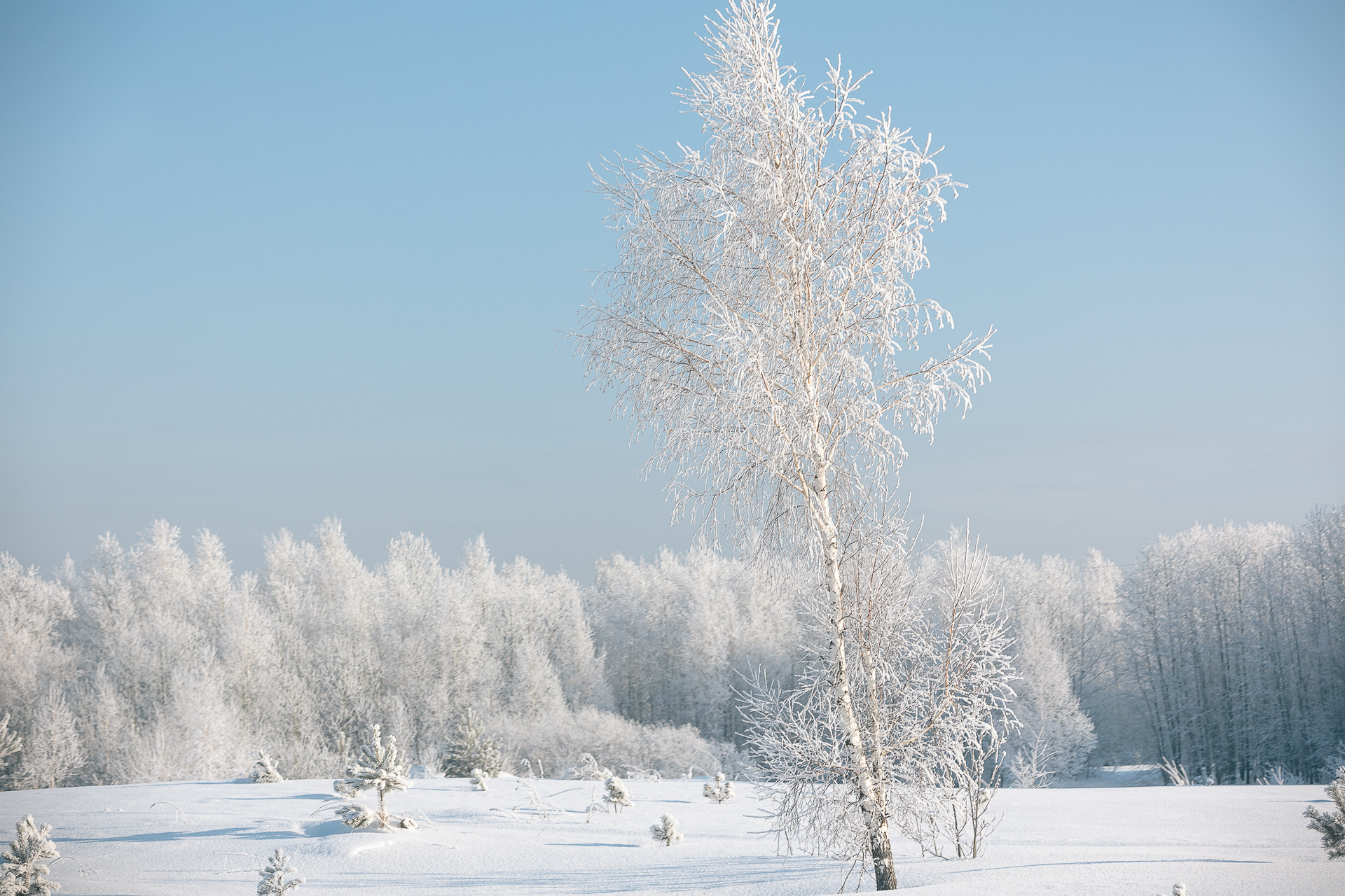 Фото красивая морозная зима в Емве