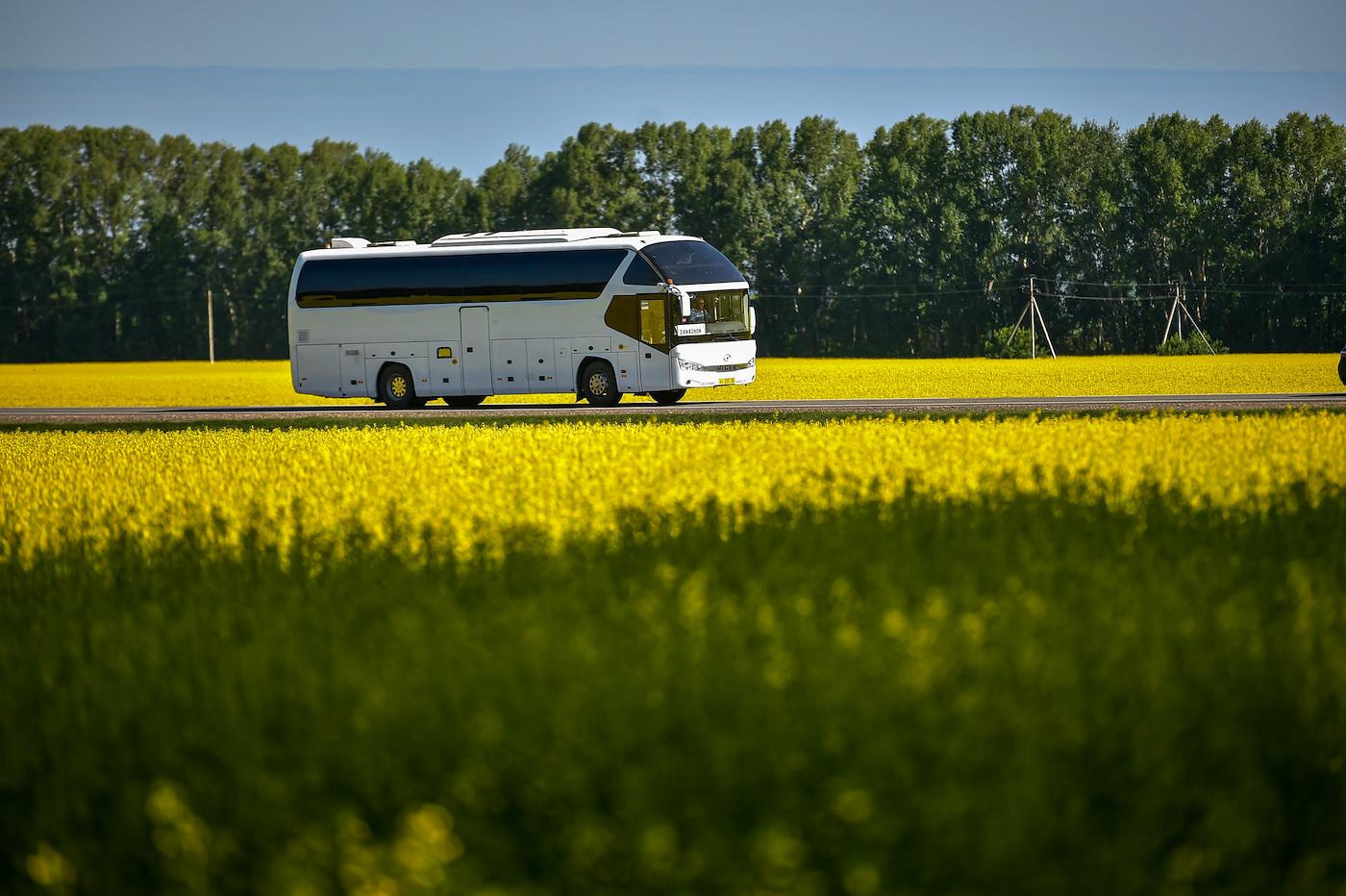 По Европе на автобусах: как бюджетно путешествовать и не бояться пограничников