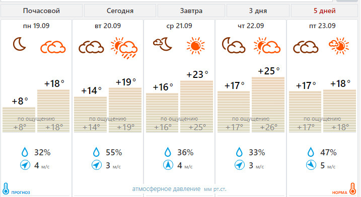 Рп5 железногорск курская погода на неделю. Погода летом. Погода на сегодня. Какая завтра погода. Температура в Новосибирске на завтра.