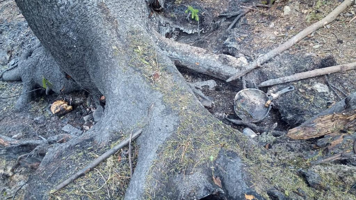 На месте крупного лесного пожара в Кузбассе нашли сковороду