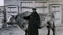 Как в Кургане показывали все достижения сибирских предпринимателей в полеводстве, скотоводстве и огородничестве?