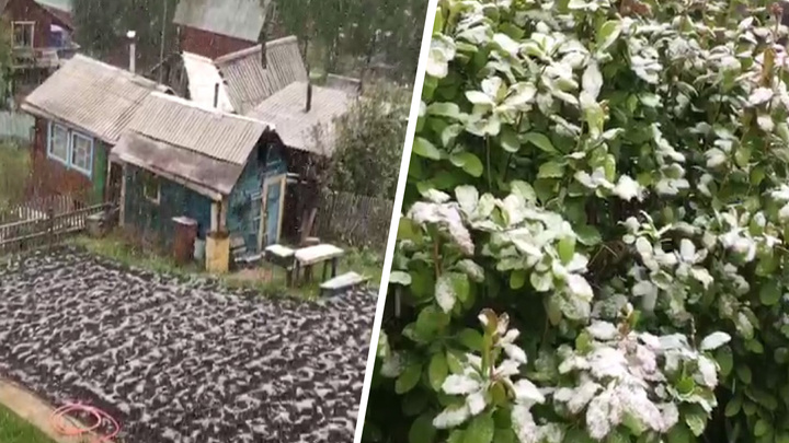 Летний снег добрался до Красноярска и окрестных дач — вчера он выпал в «Ергаках»