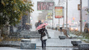 Похолодание до -8 градусов приближается к Новосибирску — когда его ждать