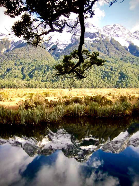 Озера на Южном острове Новой Зеландии. Бухта Milford Sound