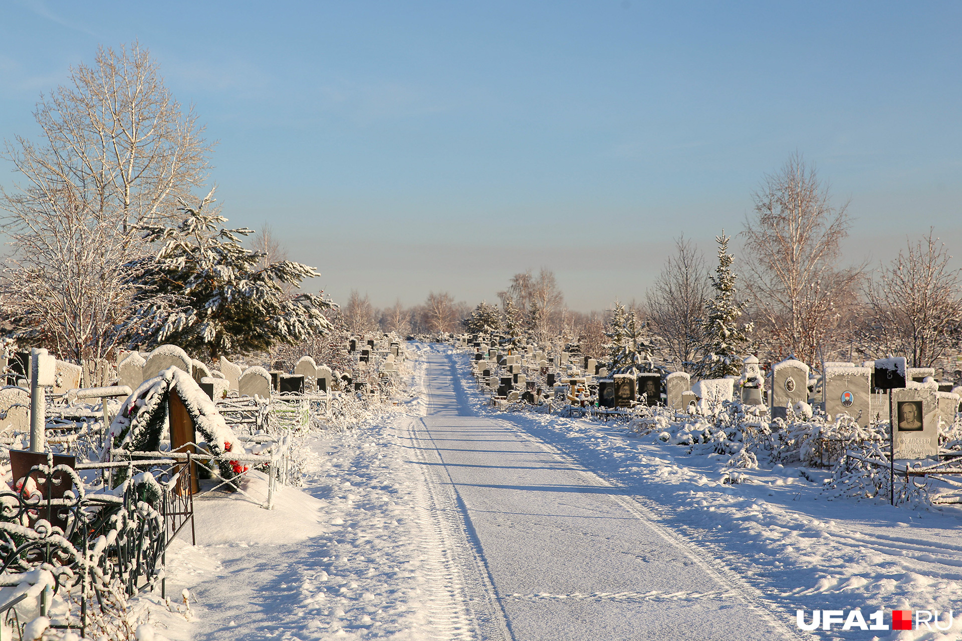 Южное кладбище находится в селе Михайловка