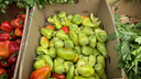 Куда пропал болгарский перец? Красноярцы жалуются на дефицит овоща в магазинах