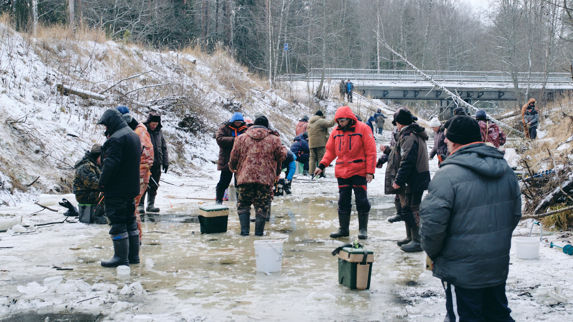 Черпают рыбу ведрами: под Ярославлем обмелевшую реку оккупировали браконьеры и рыбаки