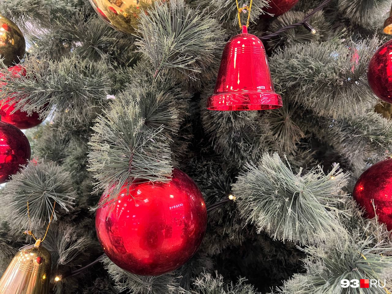 искусственная или настоящая елка. живая или искусственная елка. пушистая елка. елка пвх. живая или искусственная елка на новый год.