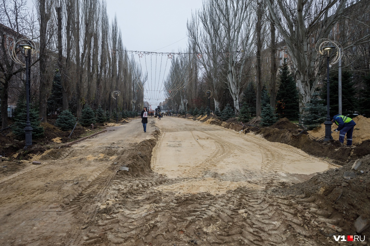 Волгоградцы не сдаются и упорно гуляют по аллее Волгоградцы не сдаются и упорно гуляют по аллее