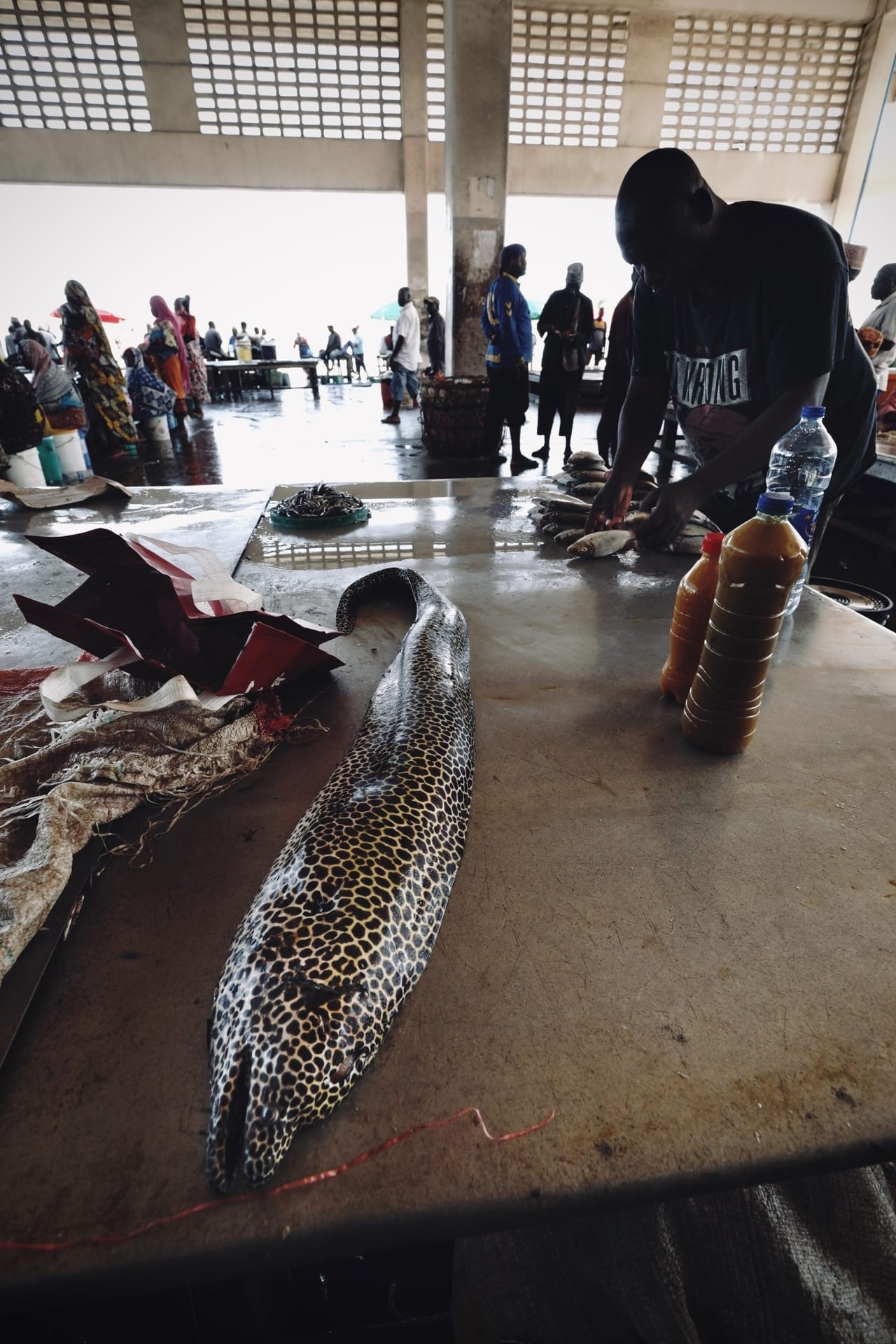 Путешественника поразил местный рыбный рынок