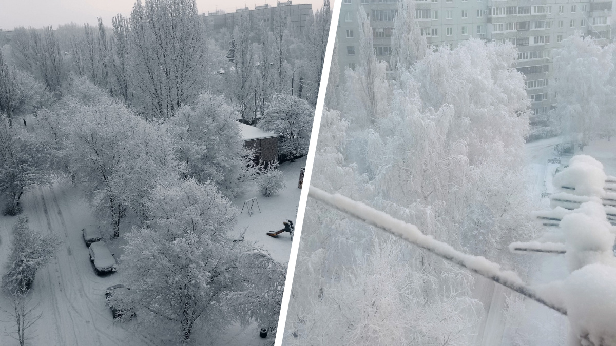 «В тумане и кружеве»: в Тольятти пришла снежная сказка