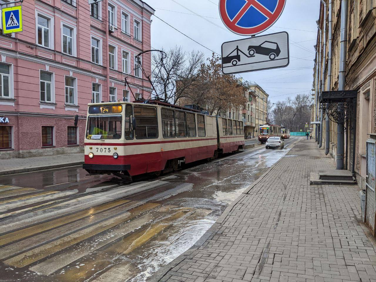 В центре Петербурга — коммунальная оттепель. Ручьями любуются из  остановившихся трамваев - 19 марта 2022 - ФОНТАНКА.ру