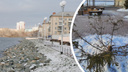 Полиция нашла спиленную на набережной в Челябинске четырехметровую ель
