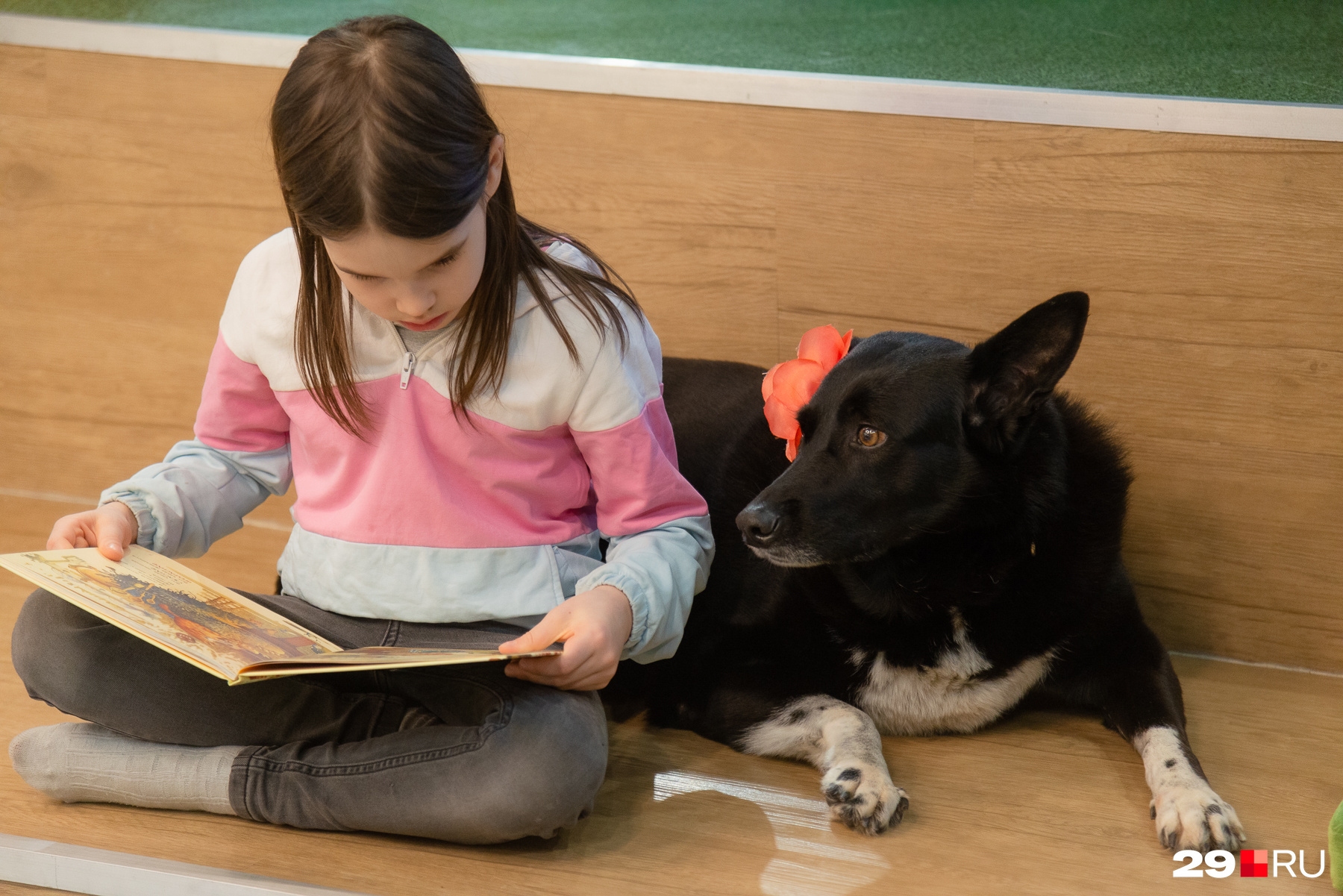 Дети читают собаке и впоследствии сами начинают интересоваться книгами