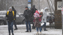 Штормовое предупреждение: снегопады, гололед и сильный ветер будут терзать Ростов до 22 ноября