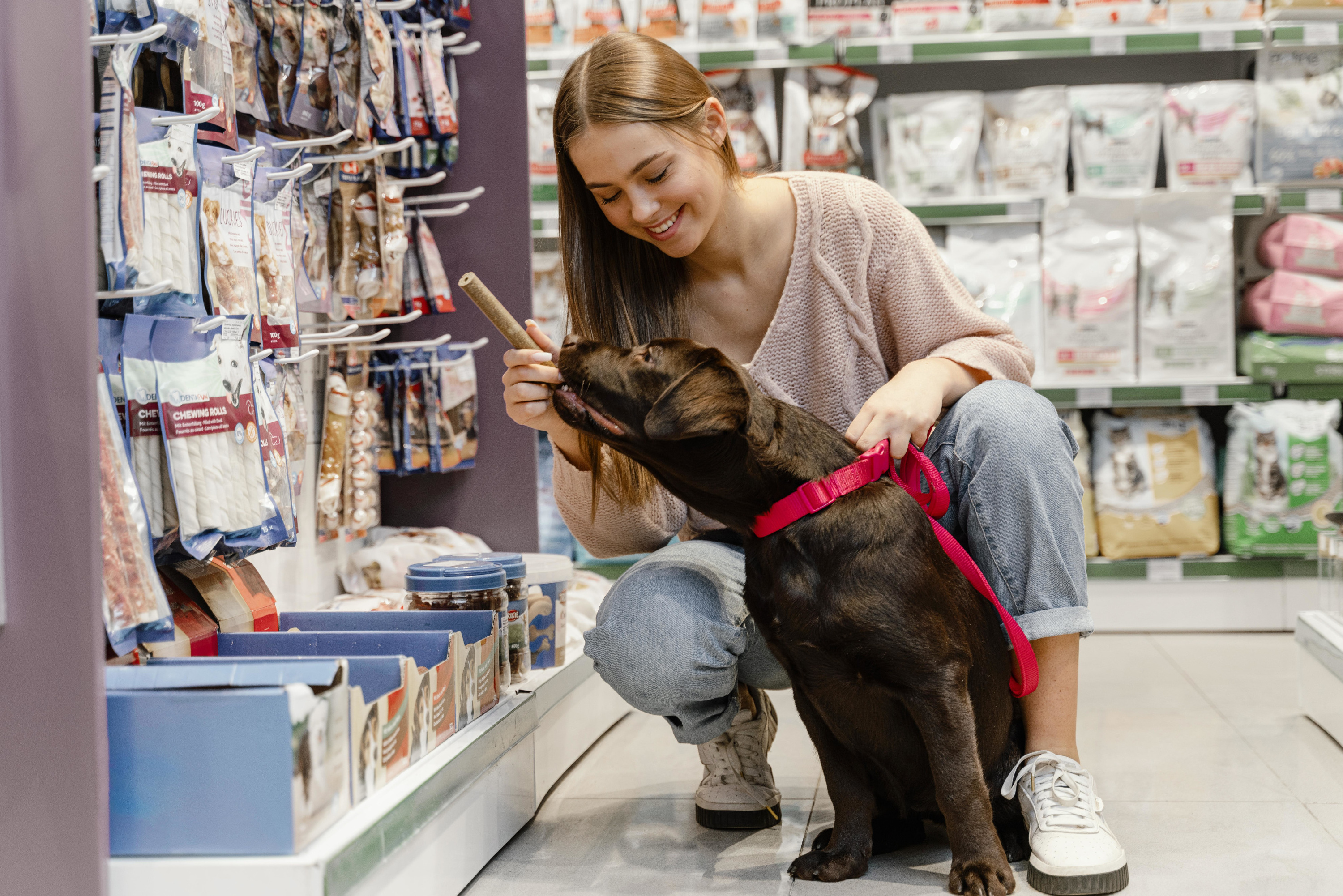 Shopping pet