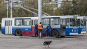 «Нам вешали лапшу»: эксперт по госзакупкам напомнил про вакханалию с электротранспортом Волгограда