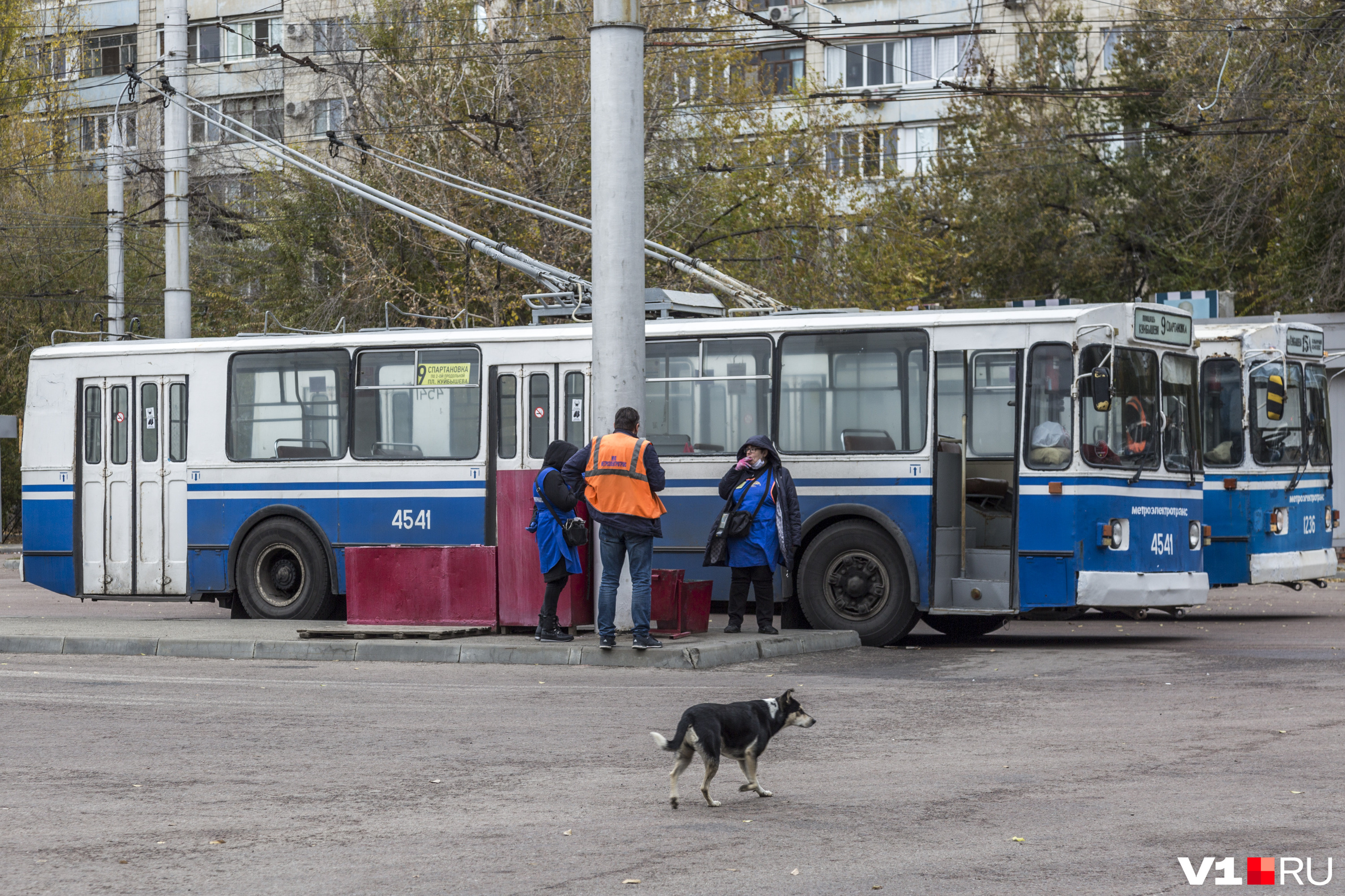 Эксперт по госзакупкам напомнил про вакханалию с электротранспортом  Волгограда 5 сентября 2022 года - 5 сентября 2022 - V1.ру