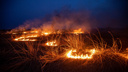 «Увеличение глобальное»: в НСО зарегистрировали максимальное количество пожаров за 5 лет