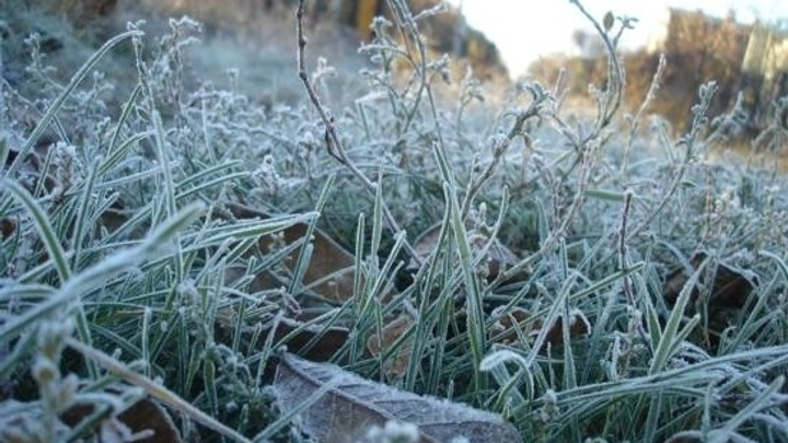 Синоптики предупредили о заморозках на севере Иркутской области