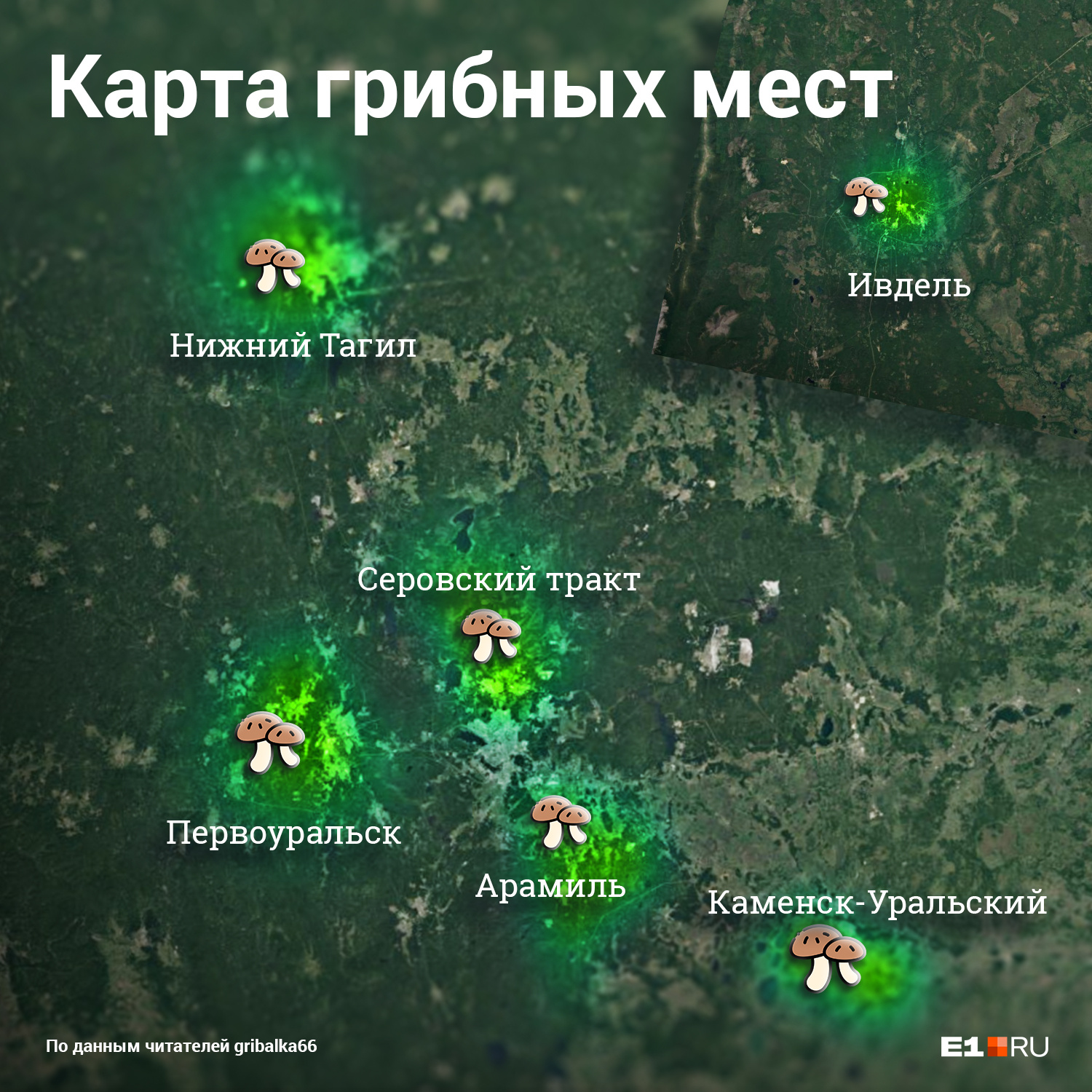 Так сейчас выглядит карта самых грибных мест Свердловской области