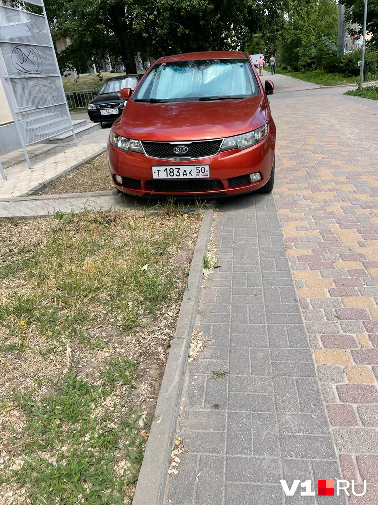 А ты что здесь делаешь, родной?