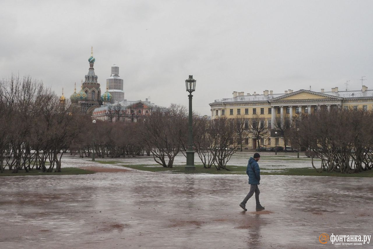 В Петербурге — один день мягкой зимы перед очередной резкой сменой погоды