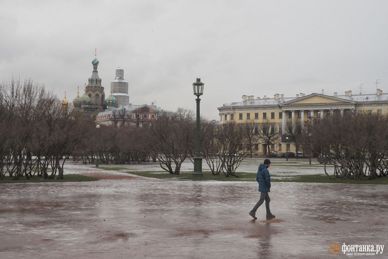 Фото петербург 2023. Зима в Питере без снега. Питер 2023 фото. Климат Питера. Погода в Питере.