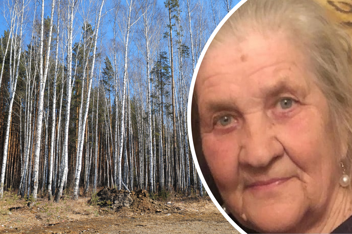 «Борется с холодом и голодом»: на Урале пенсионерка заблудилась в лесу