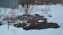 «Налицо экологическая катастрофа»: у многоэтажек в Новосибирске прорвало <nobr class="_">канализацию —</nobr> лужа утекает в частный сектор