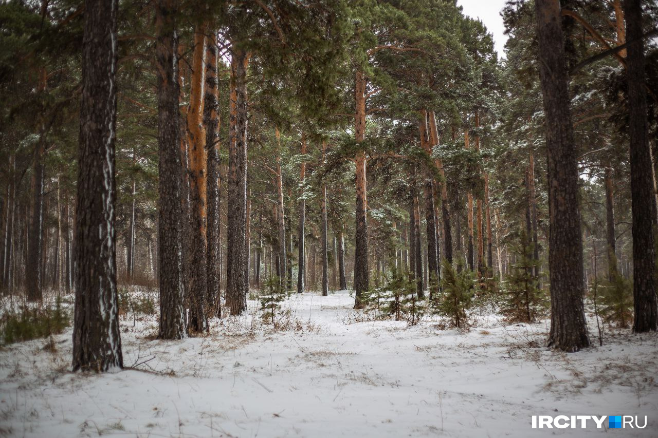 село бур катангский район иркутская область. эвенки в иркутской области. север иркутской области. коренные малочисленные народы севера иркутской области. п визирный киренского района.