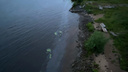 Архангелогородцы заметили маслянистое пятно в воде у Кузнечевского моста