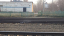 Поезд насмерть сбил 90-летнюю женщину в Новосибирской области