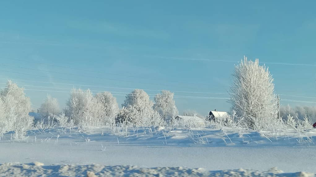 Зимняя сказка: 16 фото Ярославля, который за два дня стал похож на Арктику